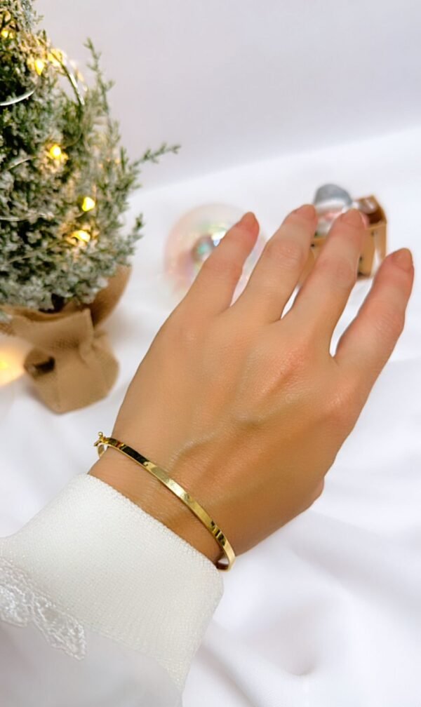 Bracelete